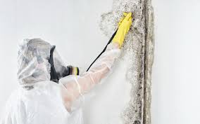 Best Forensic Mold Investigation  in Mclean, VA